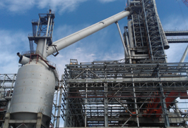 W020251125575252168939