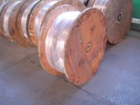 W020251125589501481985 W020251125589501481985