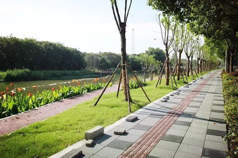 W020251125588386830533