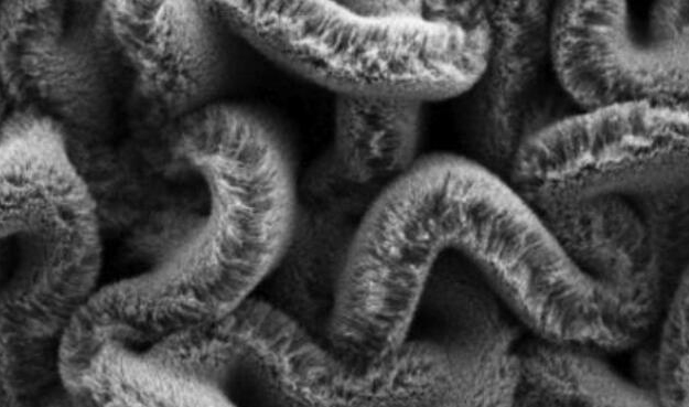 行业新闻：可拉伸的超等电容器，为柔性可穿戴设备铺路